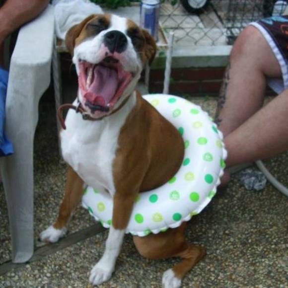 Meet your Posher, Cindy - Picture 1 of 1